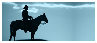 DNSEMP-L-360-BL Cowboy Blue